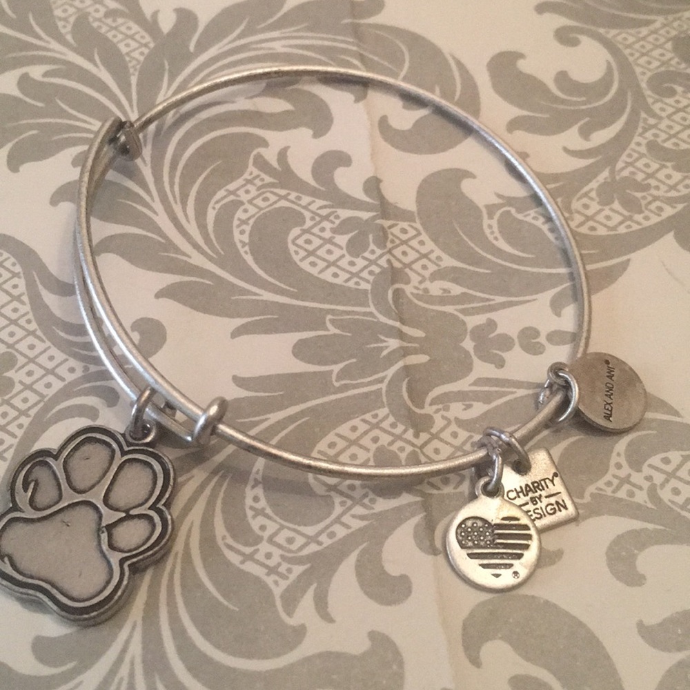 Alex and Ani Bracelet